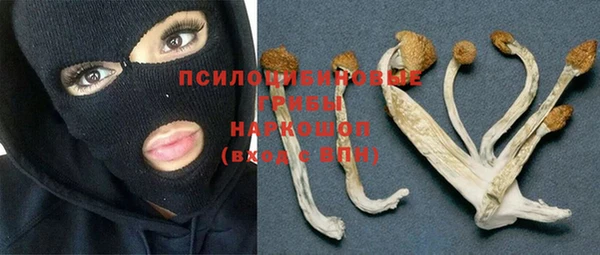 винт Володарск