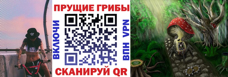Псилоцибиновые грибы Cubensis Нахабино