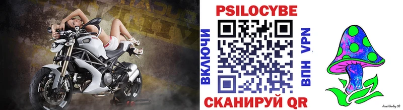 Купить где  Нахабино  Галлюциногенные грибы Psilocybine cubensis 
